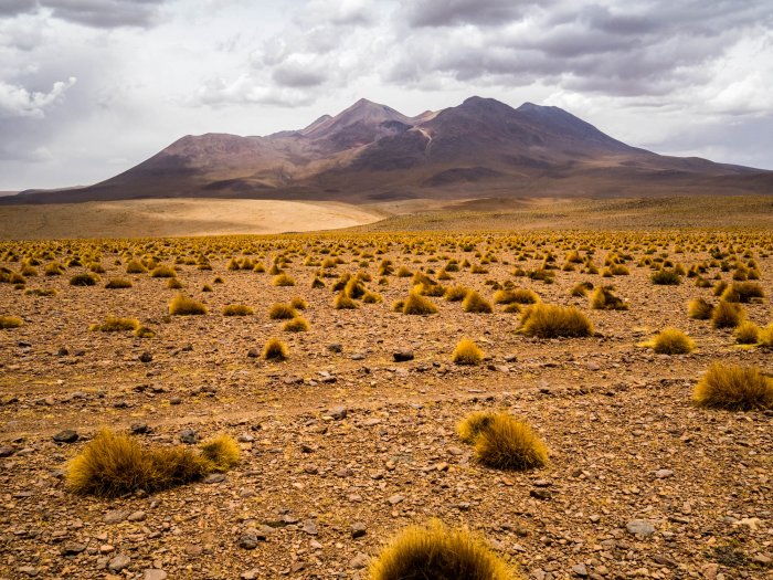 La travesía de Sudamérica